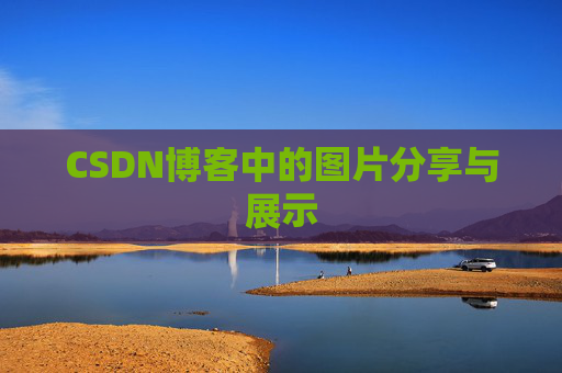CSDN博客中的图片分享与展示